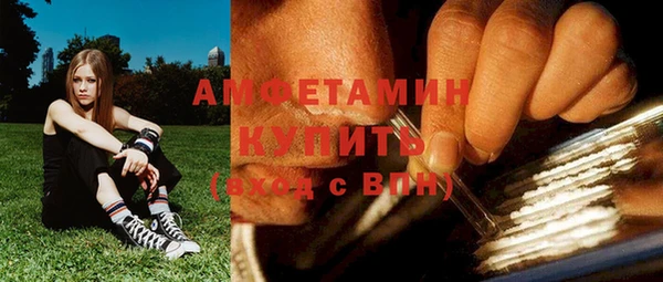 шишки Гусев
