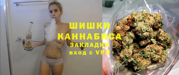 тгк Арсеньев